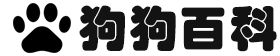 狗狗百科