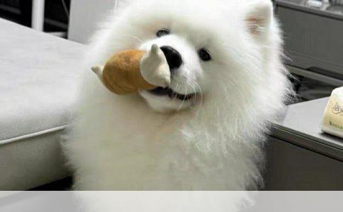 运动神经元损伤与抑郁症之别
