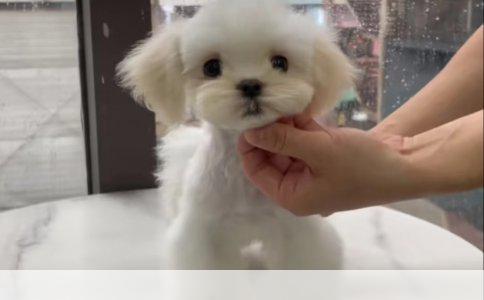 运动神经元病损伤：深度解析与应对策略