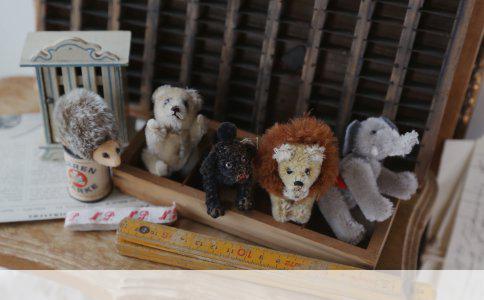 狗狗绝育手术费用及收费标准解析