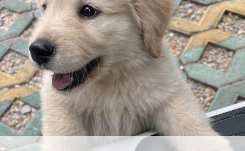 工伤保险条例与用人单位责任