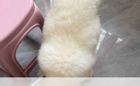 义乌美容学徒哪里找？这几条路靠谱