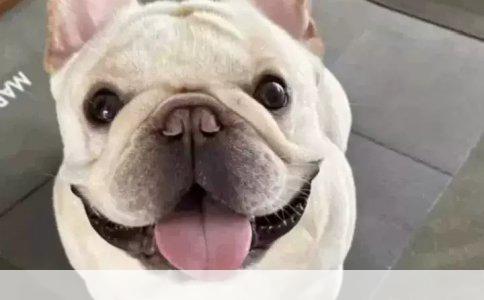 内科学与内科护理学：学科交融与专业特色