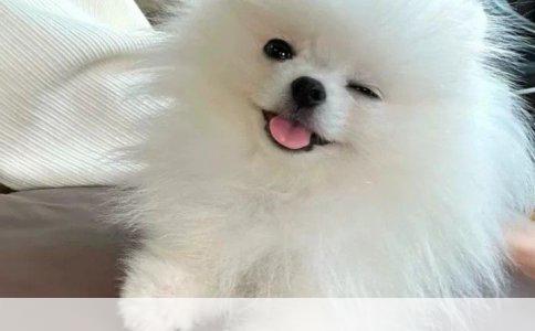 有鱼鳞病，全身护理需周到