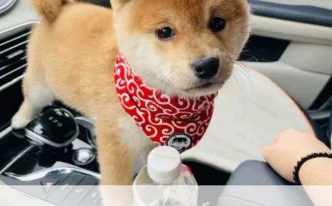0岁宝宝保险规划：爱与保障的智慧选择