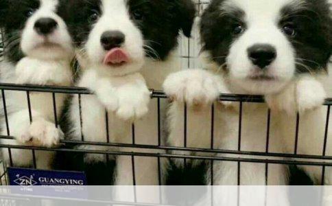 运动神经元病能治好吗