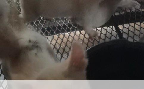 工伤保险赔付解析：单位赔付的范畴与细则