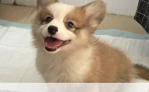 给孩子买保险的十大益处：为未来保驾护航的智慧之举