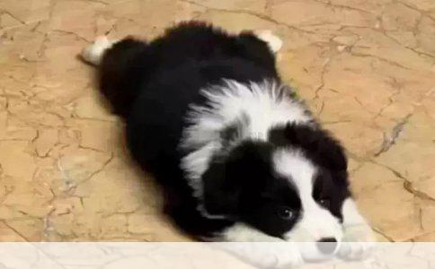 护理学不只会打针