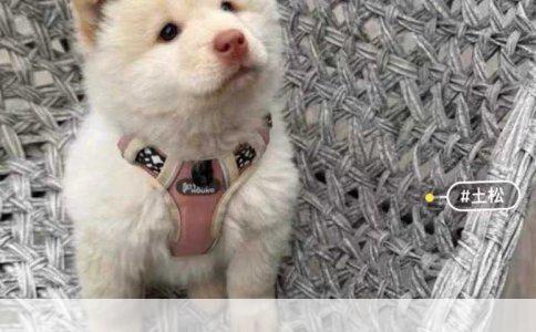 婴儿乙肝免疫球蛋白与乙肝疫苗接种详解