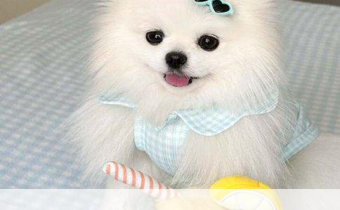 守护未来：购买少儿保险的全方位益处解析
