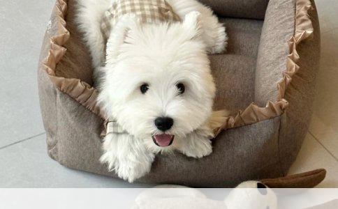 关于公司在外地与本地进行的工伤保险及伤残鉴定情况详述