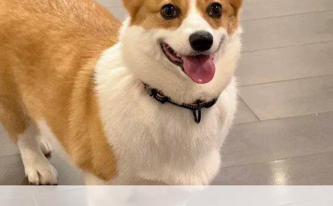 保险：生活安全网，风险守护盾