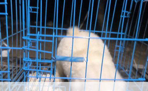 工地摔伤单纯性二根骨折赔偿解析