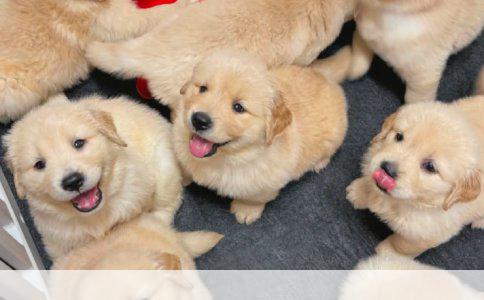 劳动法视角下未参加工伤保险的人群解析