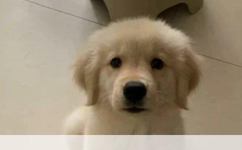 狂犬疫苗现在多少钱？这是我在被小区流浪猫抓伤后，跑到社区医院问的第一句话。