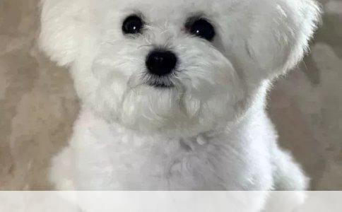 得了小儿紫癜性肾炎的护理策略