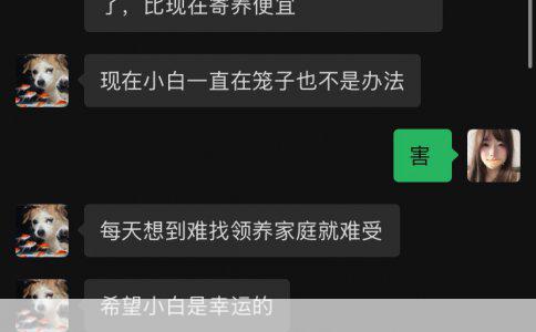 儿童保险怎么买不踩坑
