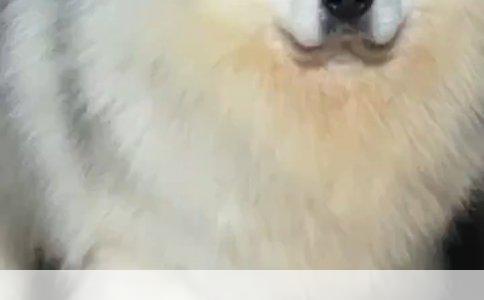 小孩子保险选择指南