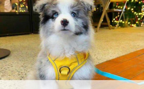 脱单秘籍：20个找对象的实用途径