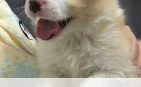 接种乙肝疫苗后死亡案例分析