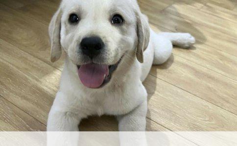 电脑网络频繁中断的探索与解决——以360断网急救及重启为例