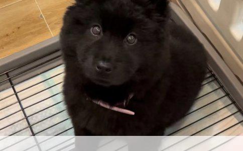 高中生必读的余秋雨散文推荐