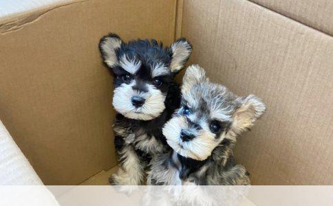 私募股权投资：百年盛行的资本之路