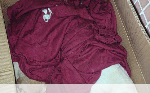 揭秘大体型犬种：一只30斤重“巨汪”的真实身份