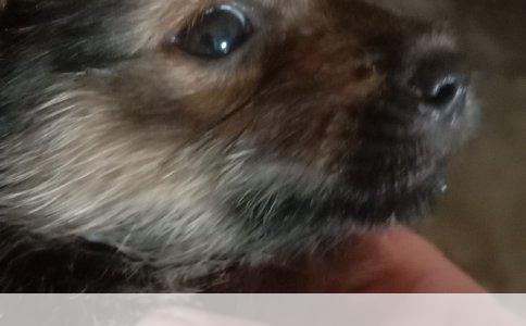 买车险，4S店和保险公司哪个更划算？这事得拆开看