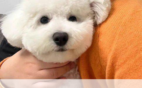 宝宝保险选择指南：如何挑选合适的保险产品