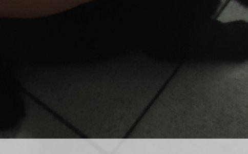 揭秘2020年日本人的平均寿命：性别差异与长寿之谜