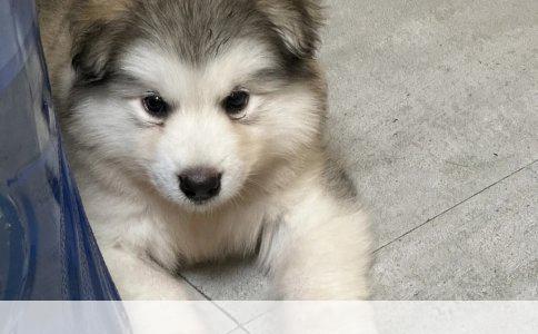 爱5一菲带看房是第几集？