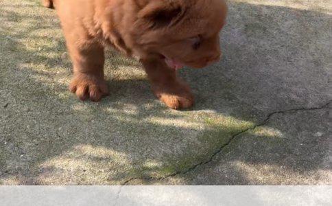 双宝家庭的教育保障：选择最适合7岁与8个月大宝宝的教育保险方案