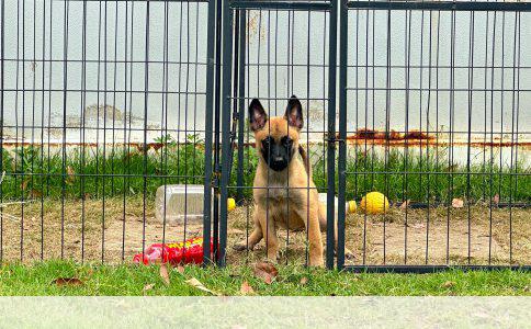 护理学发展的三个阶段：从经验到科学，再到人文关怀