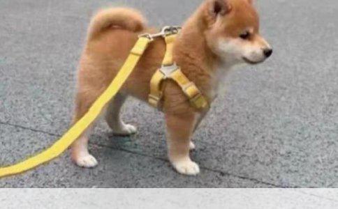 异地刮车保险理赔流程详解