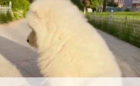 解析急救配置——客观评论其重要性与实际应用