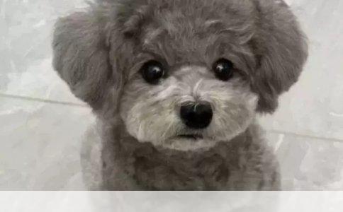 疾病初期恶寒发热的常见症状与应对策略