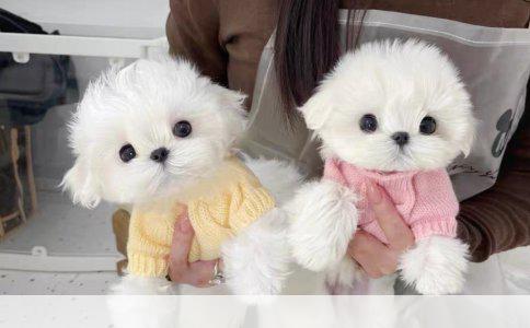 工伤保险申报时间详解