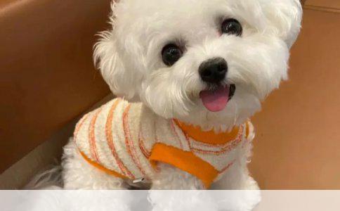 保险：为生活安全加码的隐形盾牌